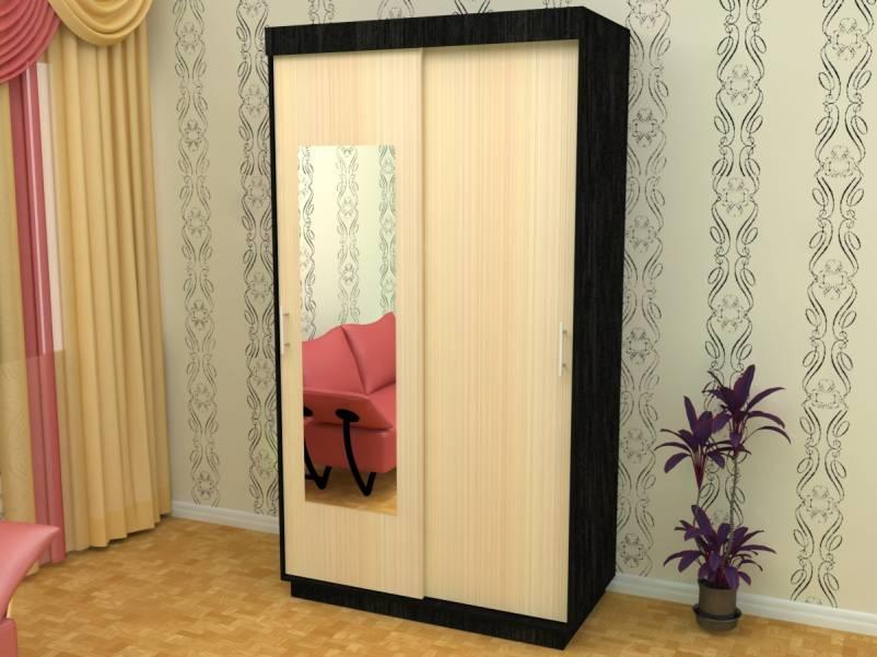 Фото Шкаф-купе ШОН-1 (2 двери) от производителя Пирамида в Мариуполе по цене 16&nbsp;010 ₽