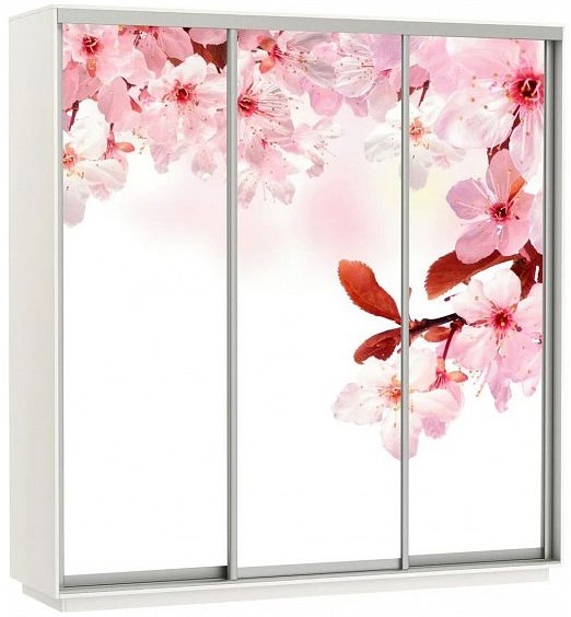 Фото Шкаф-купе Экспресс Трио Фото (2,1х0,6х2,2 - 3 двери) от производителя Мебельная компания Е1 в Мариуполе по цене 51 430 ₽