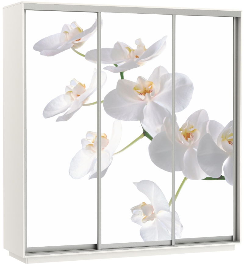 Фото Шкаф-купе Экспресс Трио Фото (2,4х0,6х2,4 - 3 двери) от производителя Мебельная компания Е1 в Мариуполе по цене 63&nbsp;870 ₽