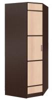 Шкаф Сакура (88) угловой (венге, лоредо-венге,(БТС)) в Мариуполе от производителя 